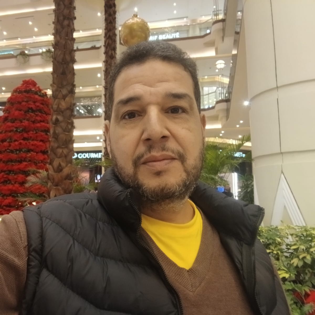 ناجي محمدي